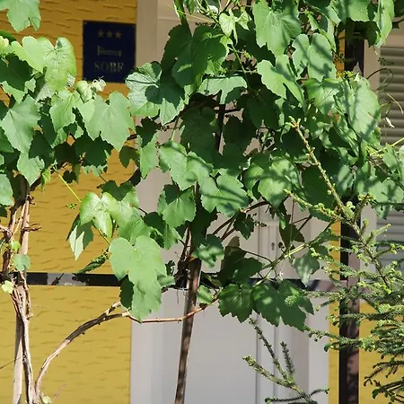 Stanic Apartman *